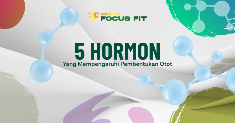 5 Hormon yang Mempengaruhi Pembentukan Otot