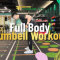 Full Body Dumbbell Workout