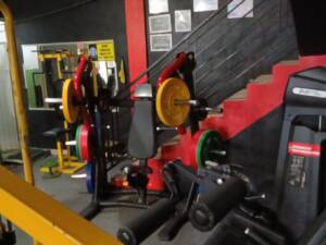 saide gym